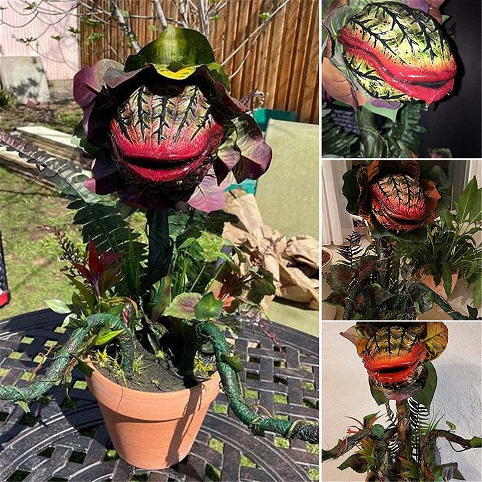 Scary Piranha Flower Decor