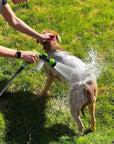 High-Pressure Pet Shower Gun