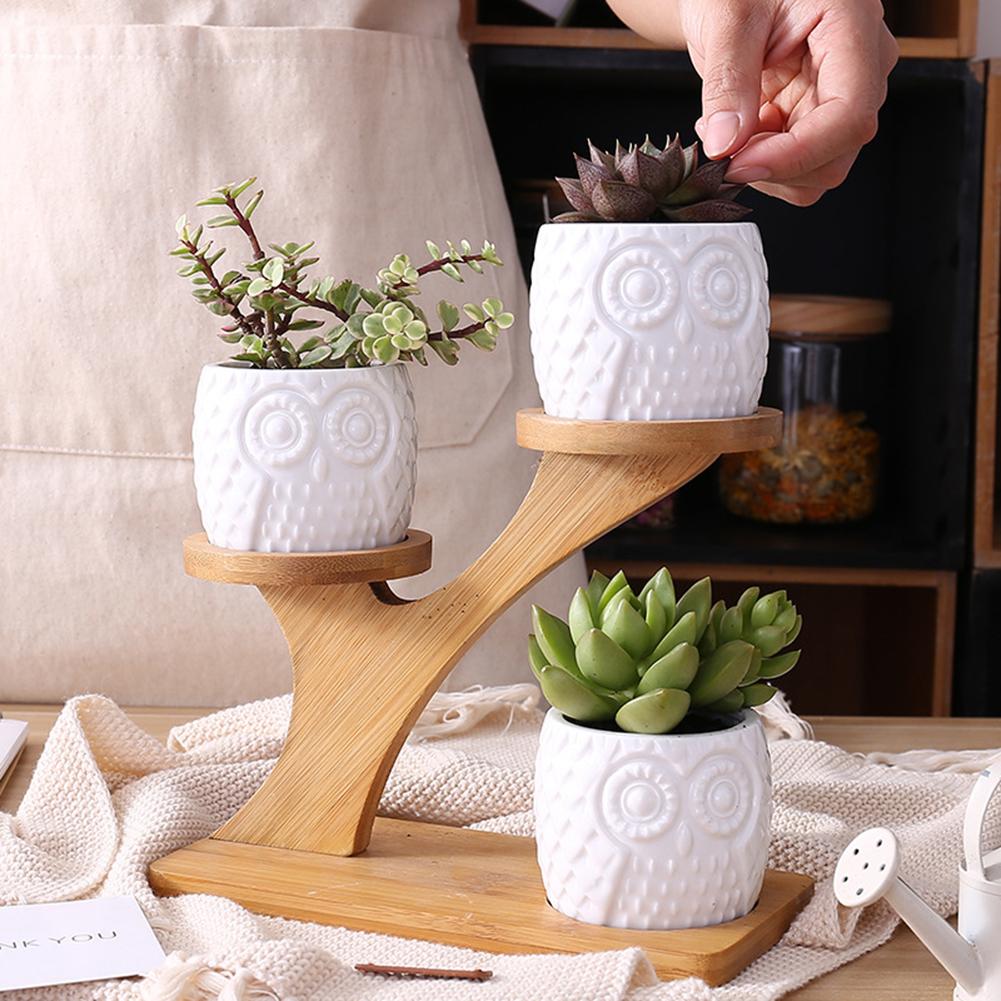 Succulent Plant Ceramic Owl Treetop